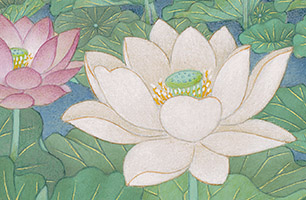 colorful lotuses